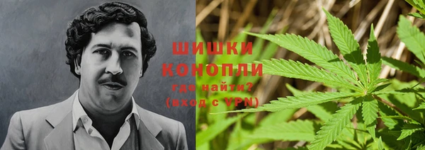 MESCALINE Аркадак