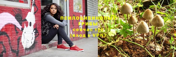 хмурый Армянск