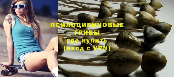 PSILOCYBIN Арсеньев
