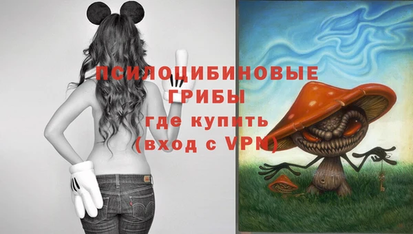 MESCALINE Аркадак