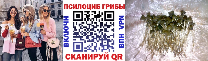 Псилоцибиновые грибы ЛСД  наркошоп  kraken зеркало  Ишимбай 